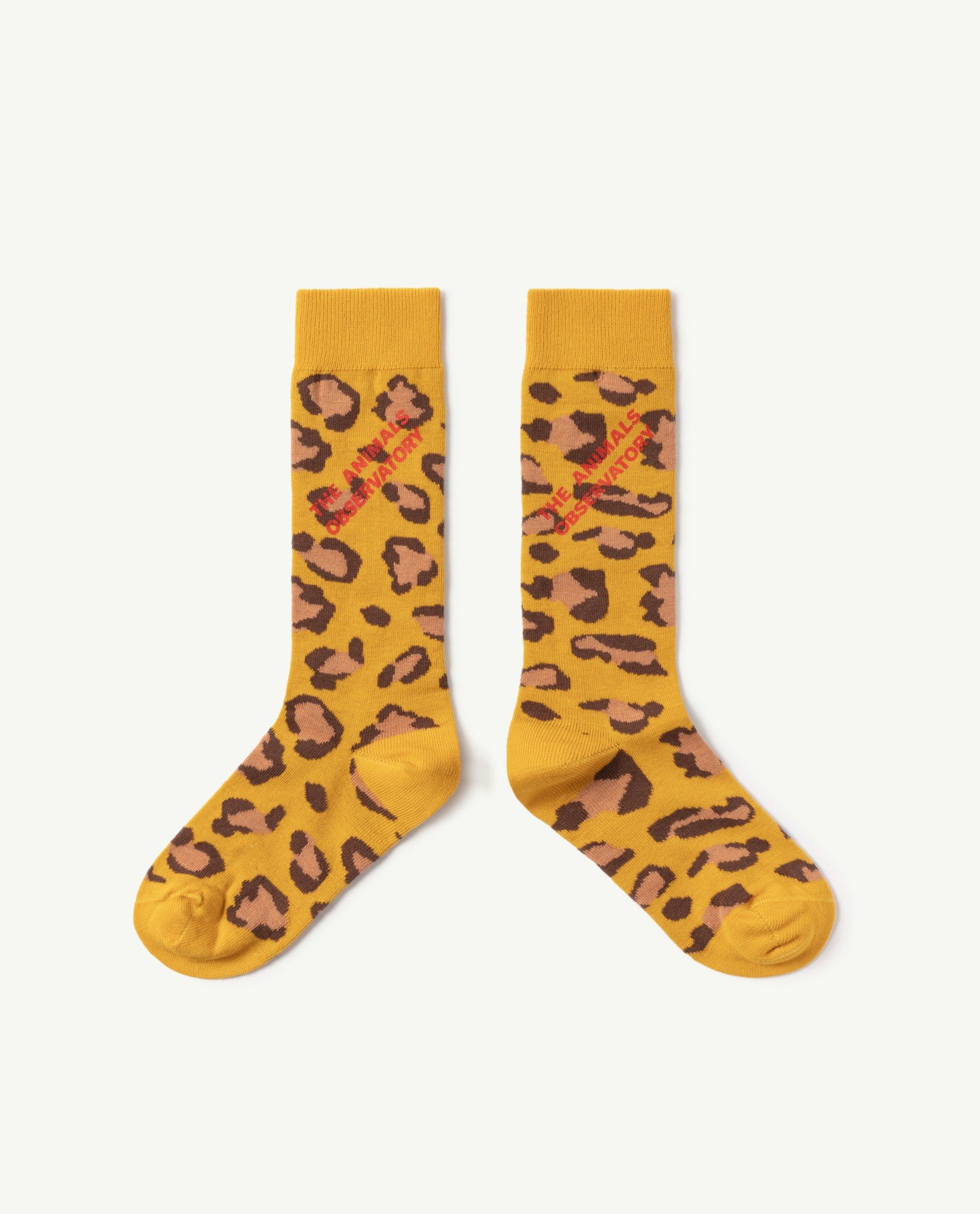Boys & Girls Yellow Cotton Socks