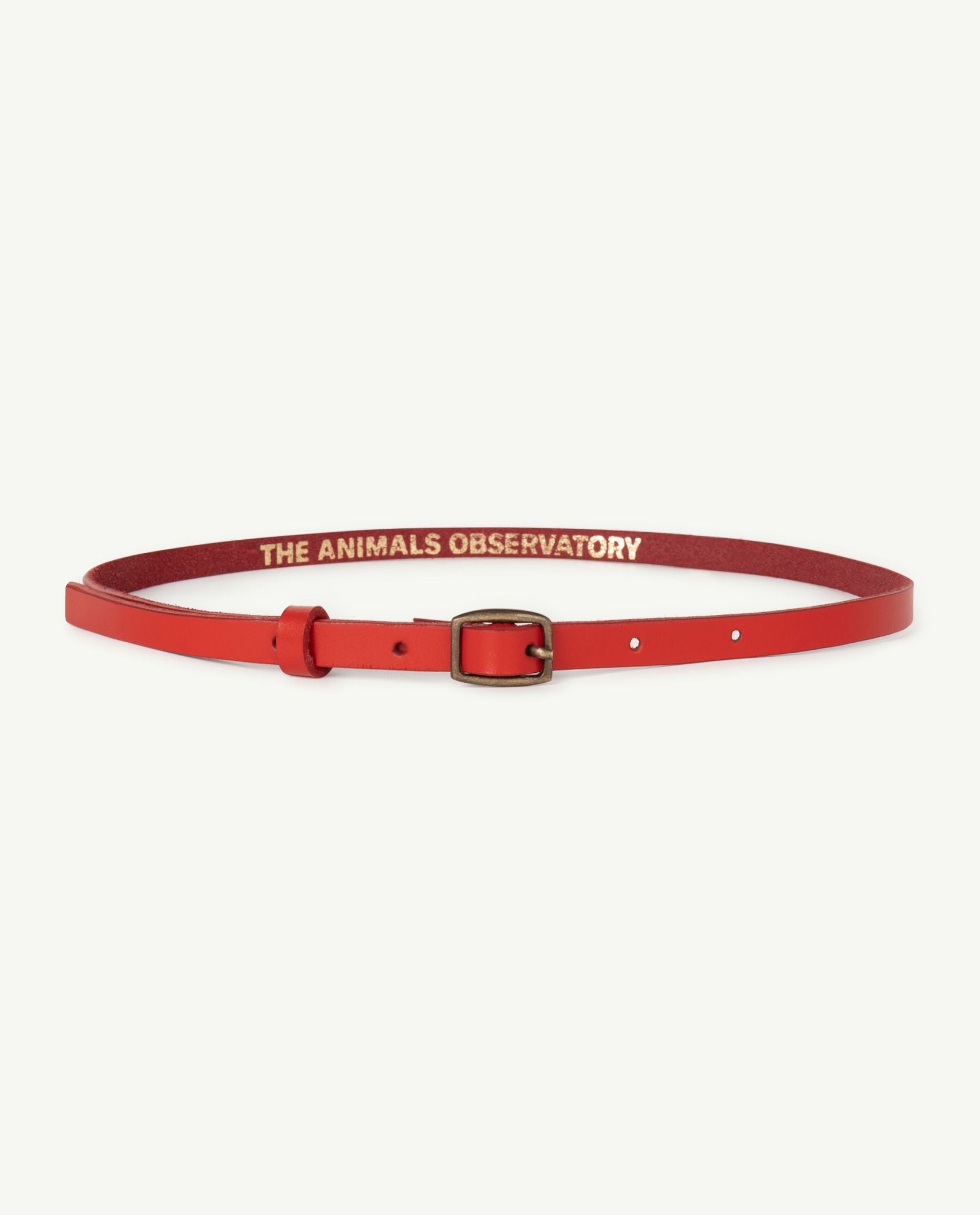 Boys & Girls Red Belt