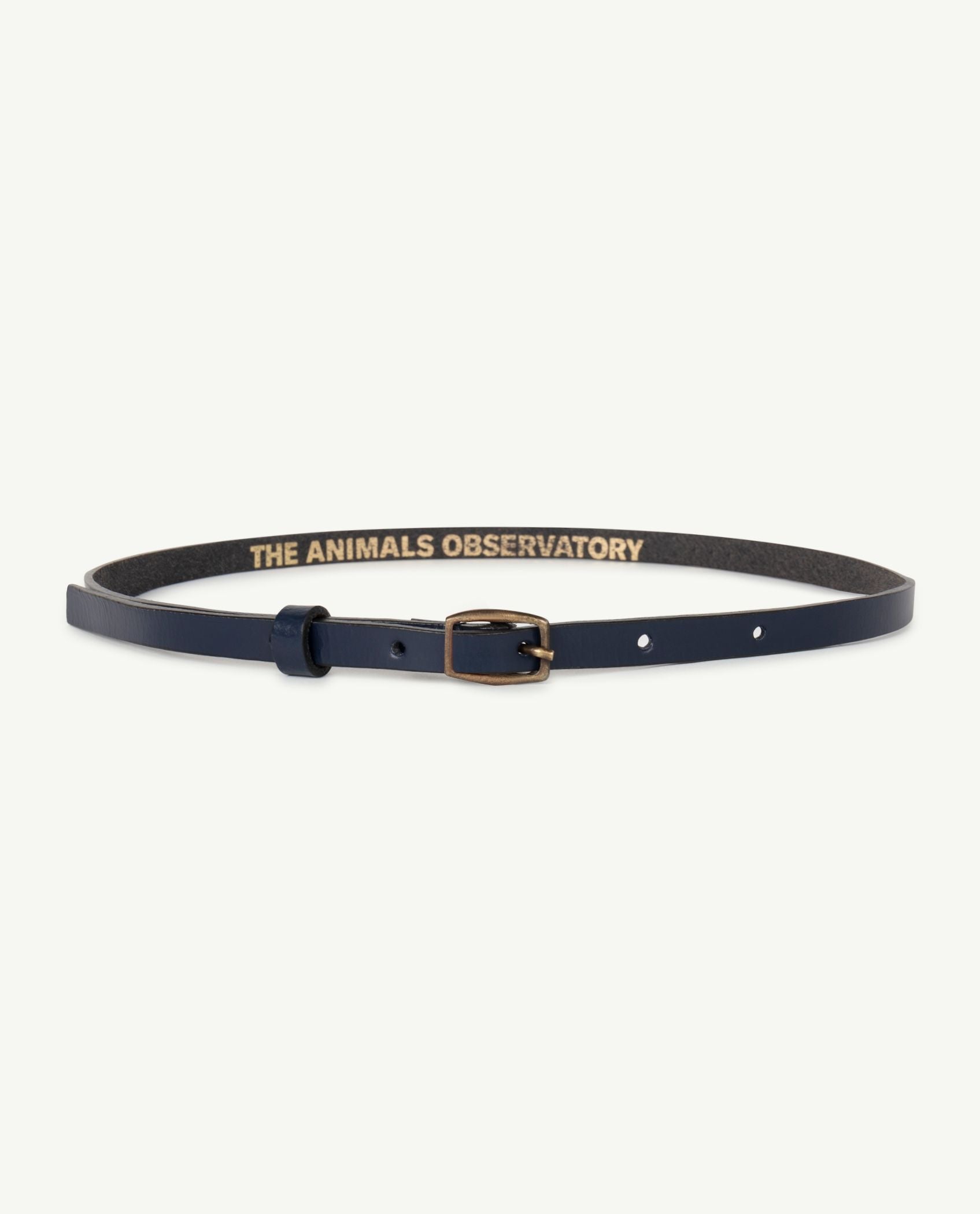 Boys & Girls Navy Belt