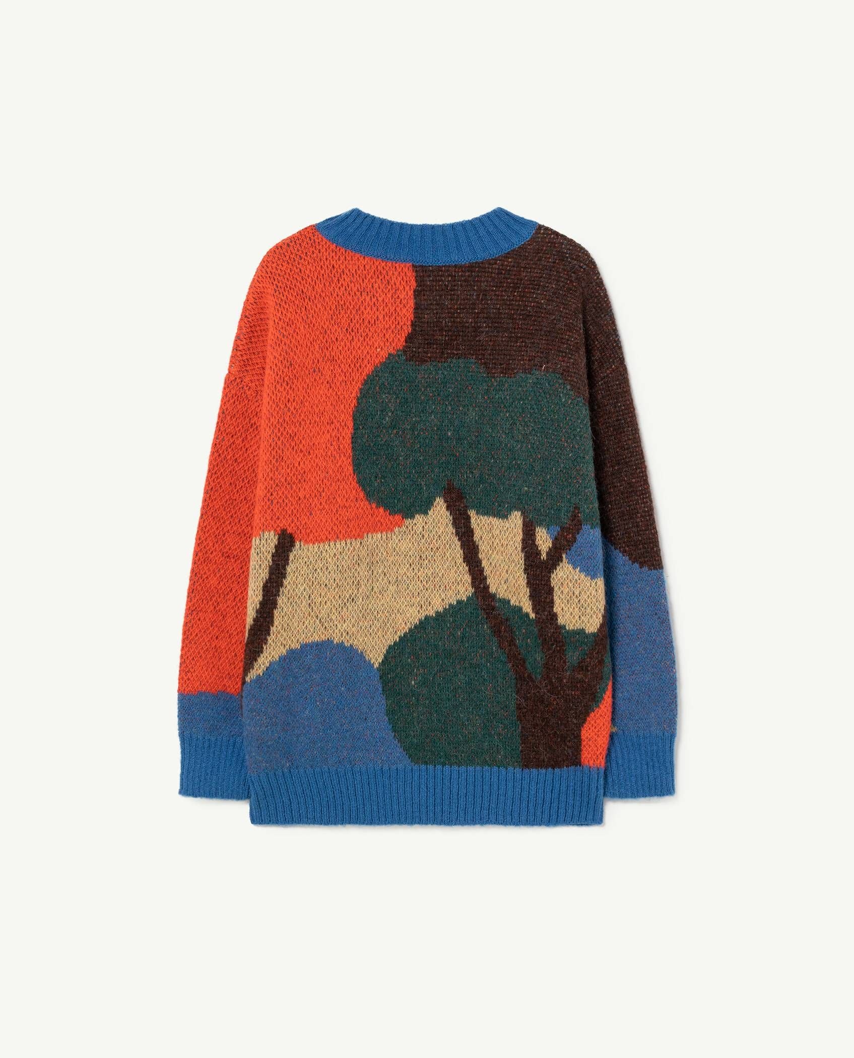 Boys & Girls Multicolor Sweater
