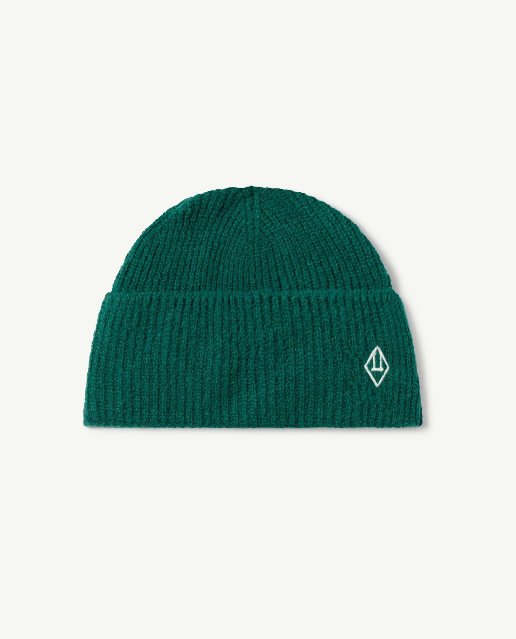 Boys & Girls Green Wool Hat