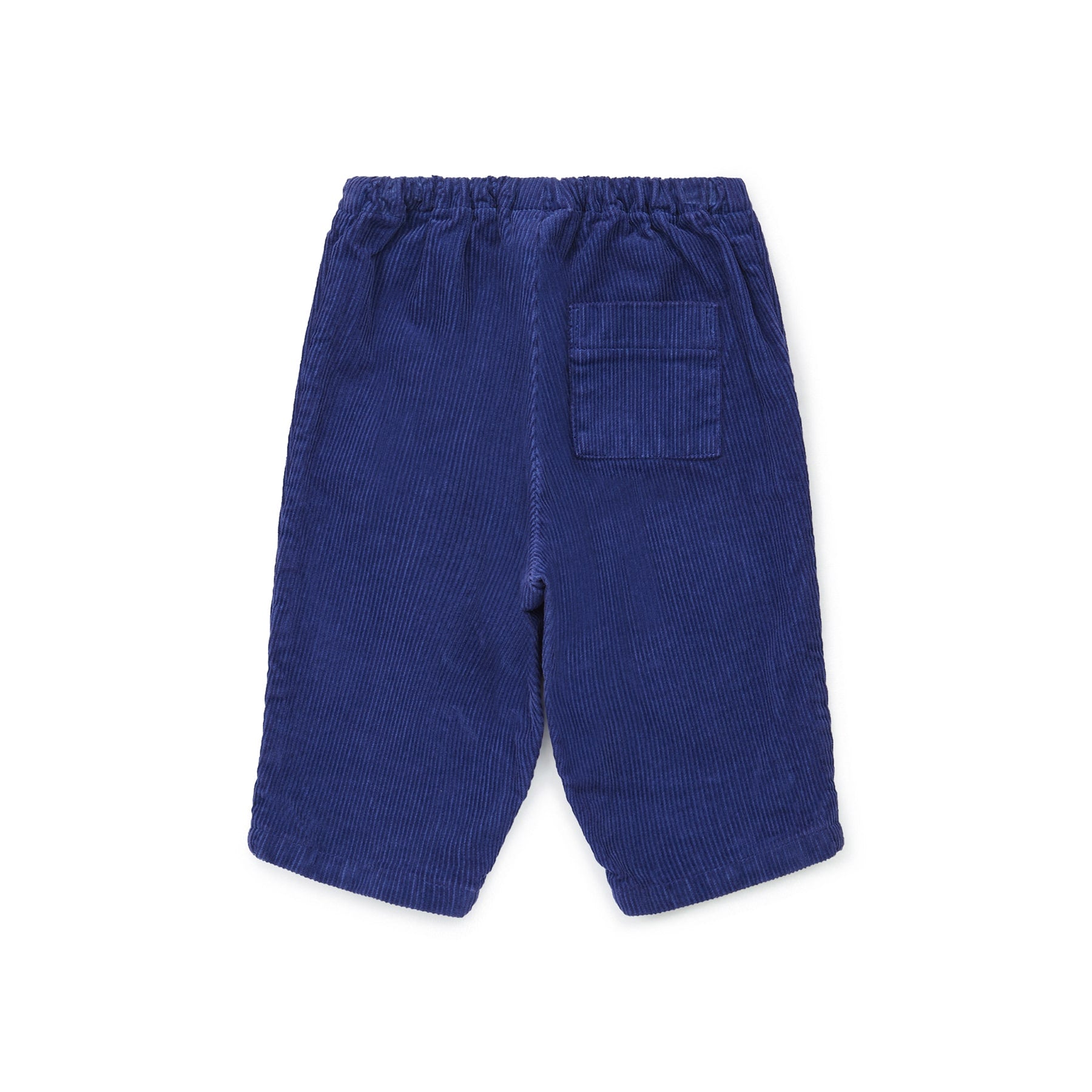 Baby Boys & Girls Blue Velvet Trousers