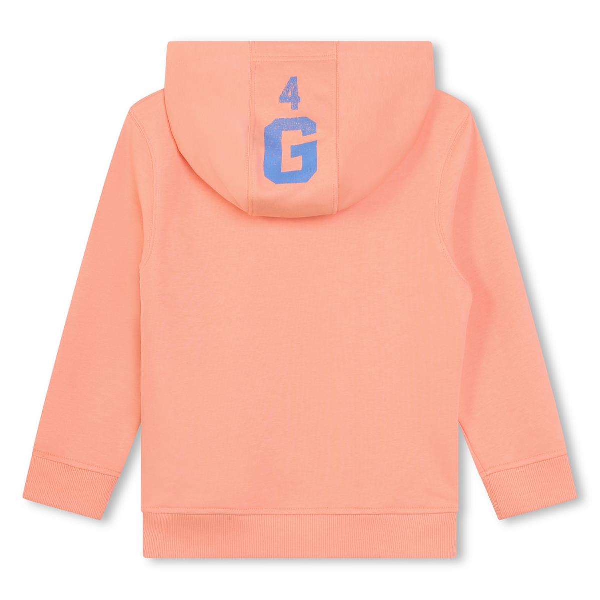 Boys Pink Hooded Sweatshirt