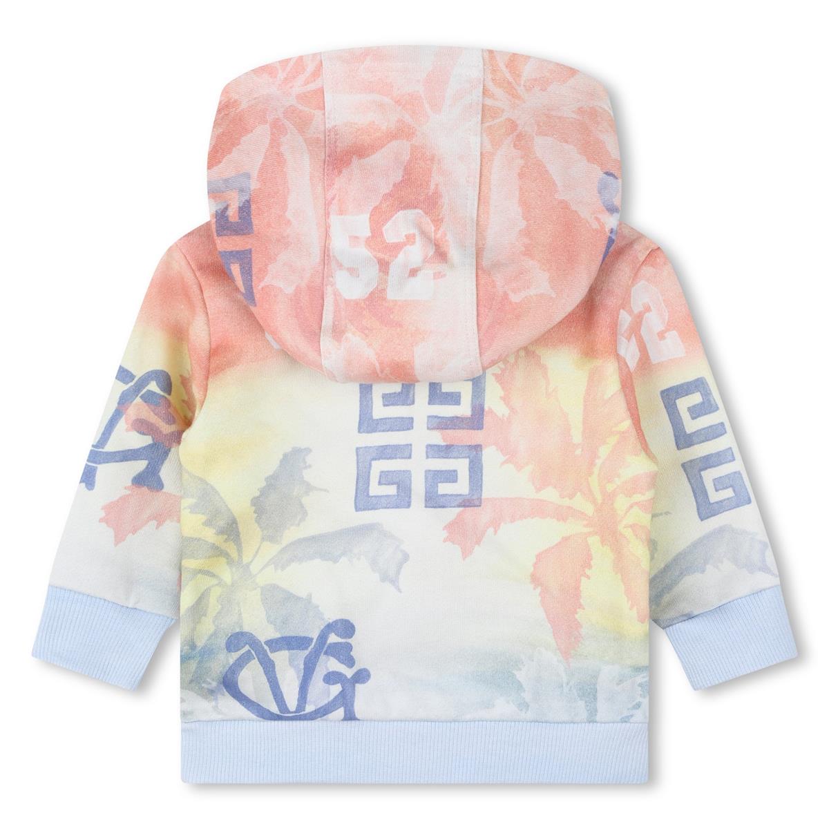 Baby Boys Multicolor Hooded Sweatshirt