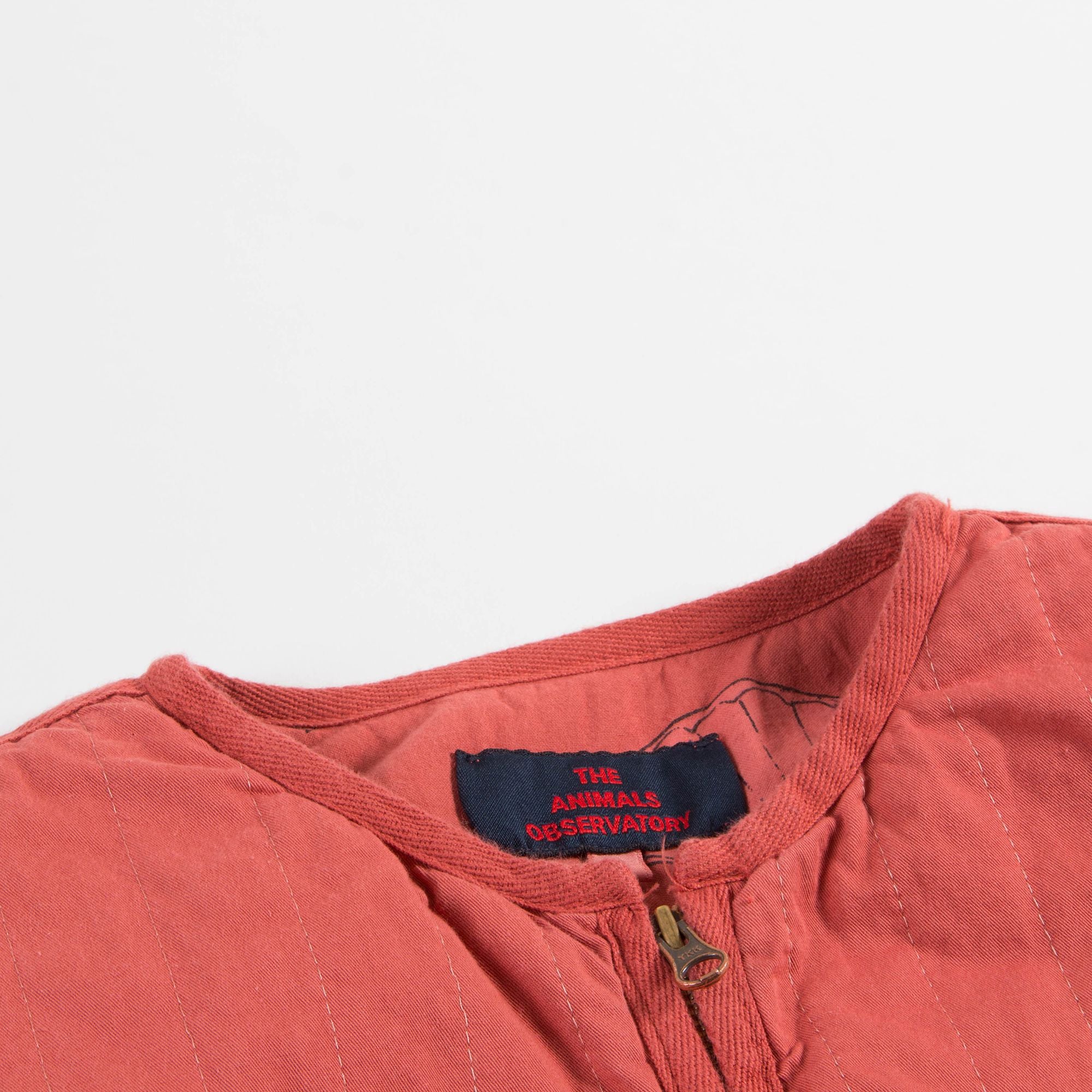 Girls  Red   Shells   Cotton    Jacket