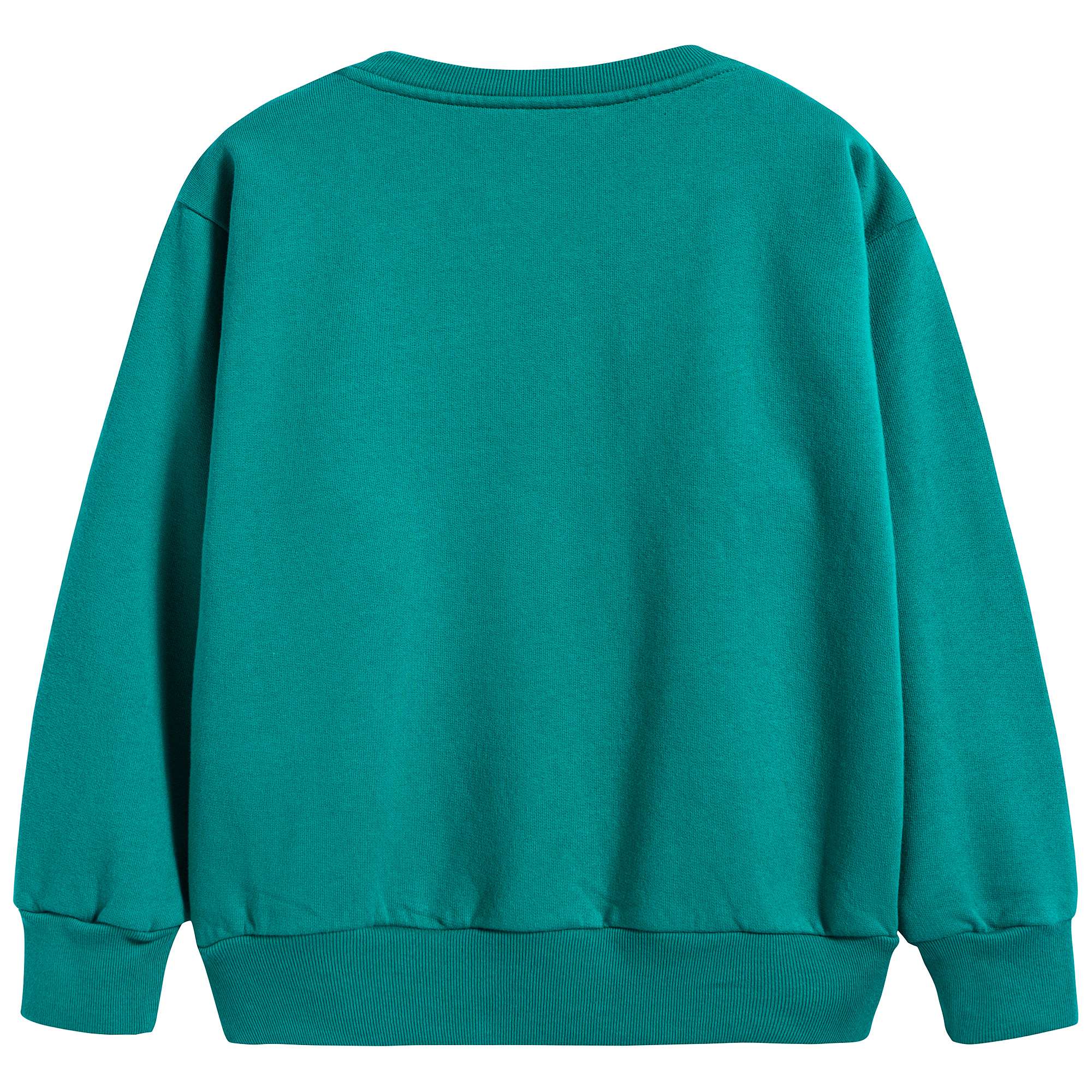 Boys & Girls Mint Cotton Sweater