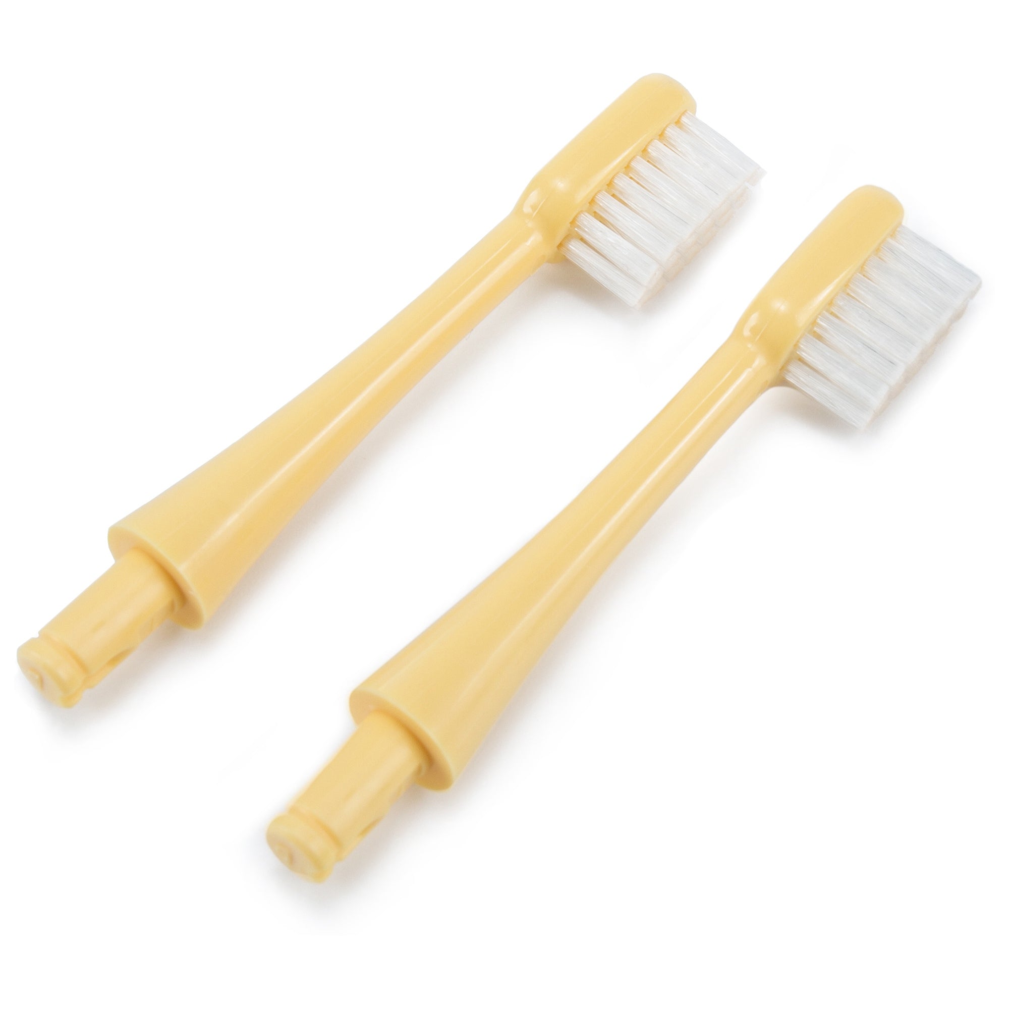 Toothbrush Replacement head（两个一组，发货颜色随机）