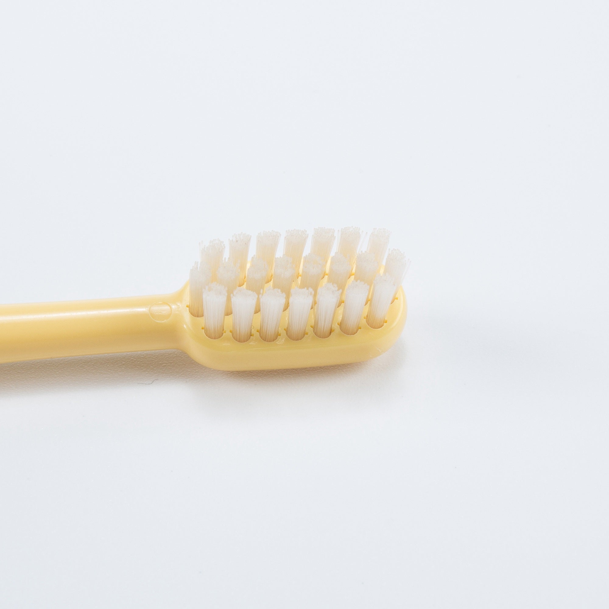 Toothbrush Replacement head（两个一组，发货颜色随机）
