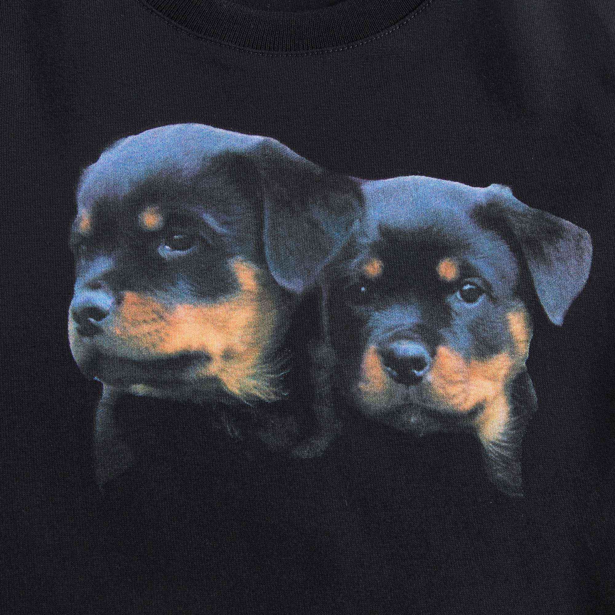 Baby Boys Black Dogs Printed T-Shirt