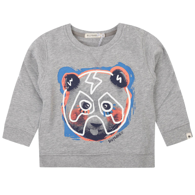 Baby Boys Grey Fancy Printed Cotton Sweatshirt - CÉMAROSE | Children's Fashion Store - 1