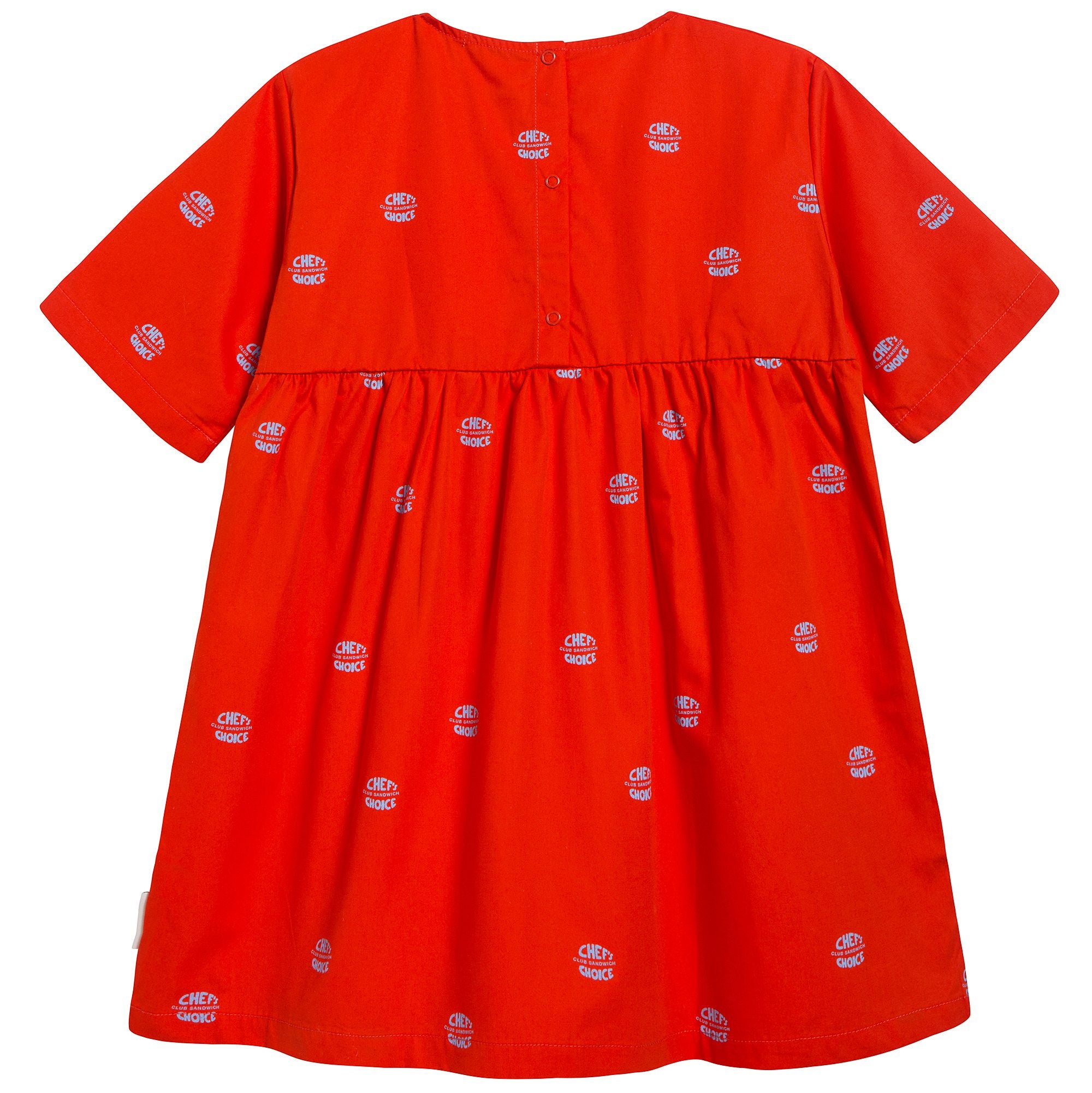 Girls Carmine & Light Cerulean Blue Dress