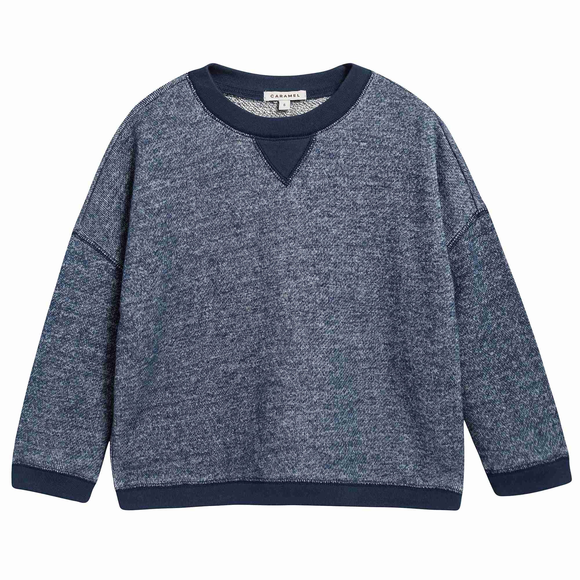 Baby Boys Blue Cotton Jersey Sweatshirt