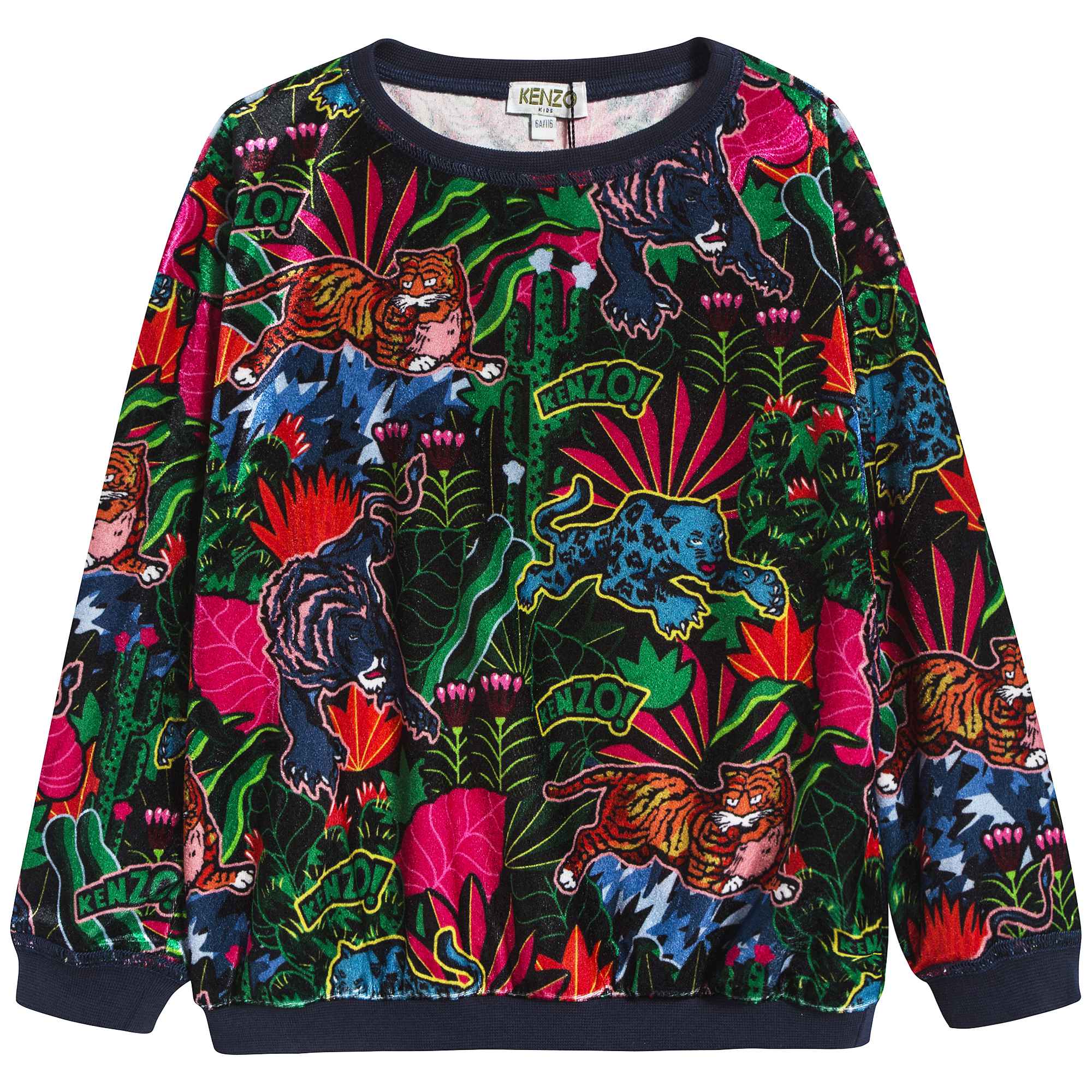 Girls Navy Printed Sweatshirt