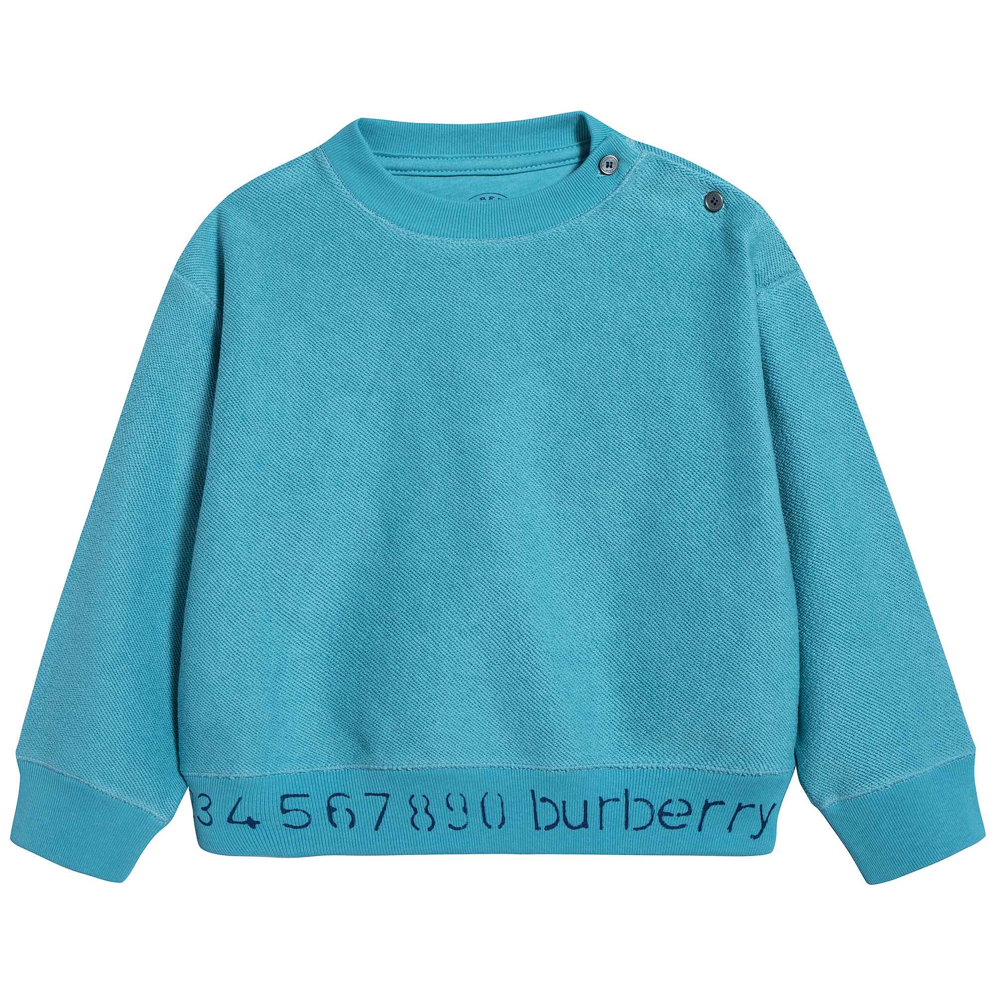 Baby Boys Bright Cyan Blue Cotton Sweatshirt