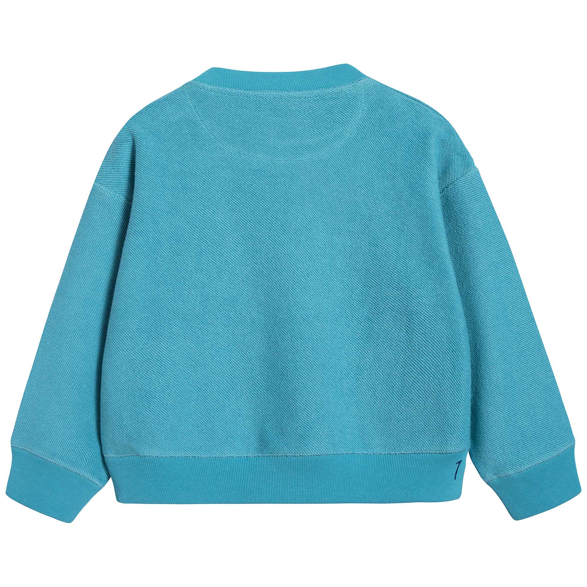 Baby Boys Bright Cyan Blue Cotton Sweatshirt