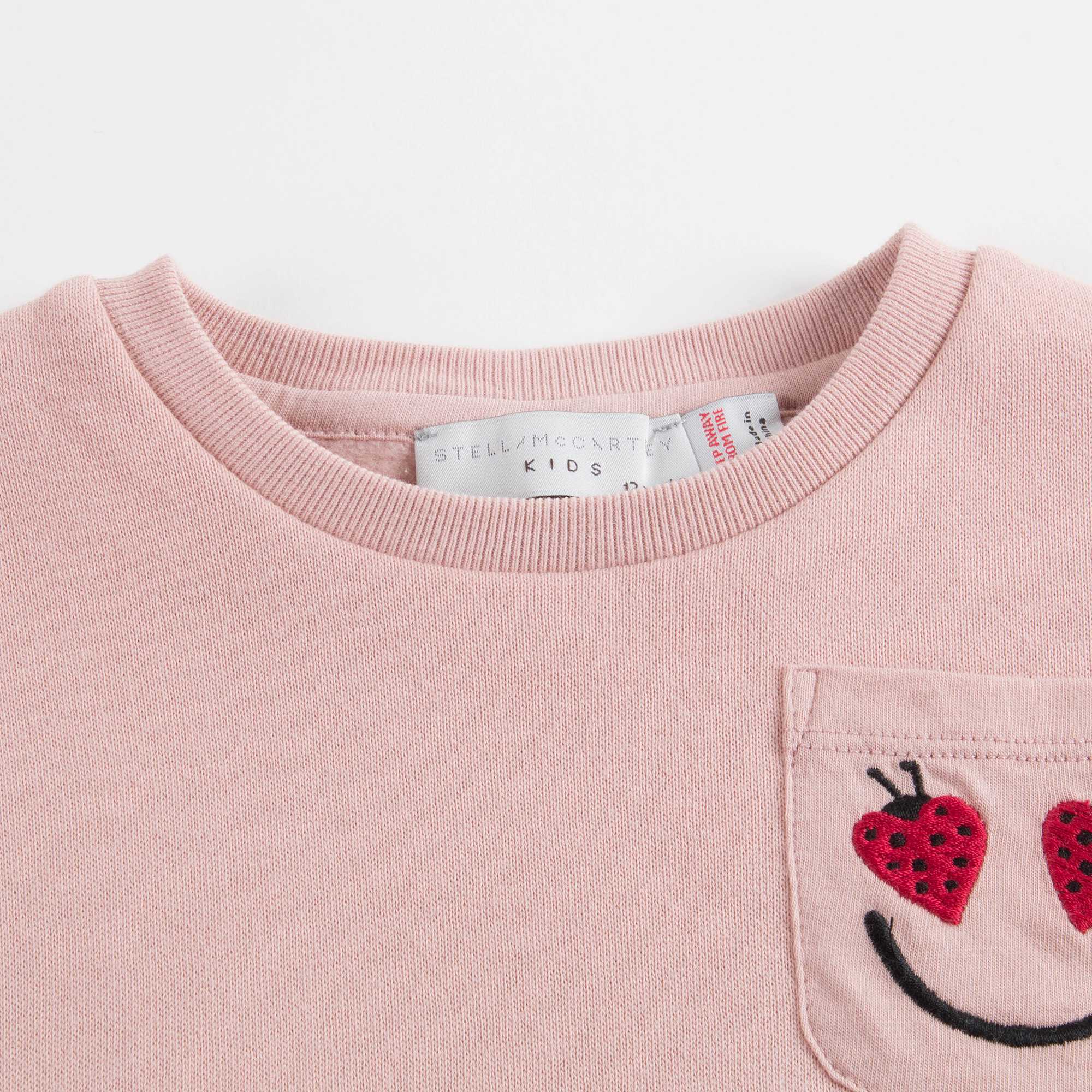 Baby Girls Dusky Rose Cotton Sweatshirt