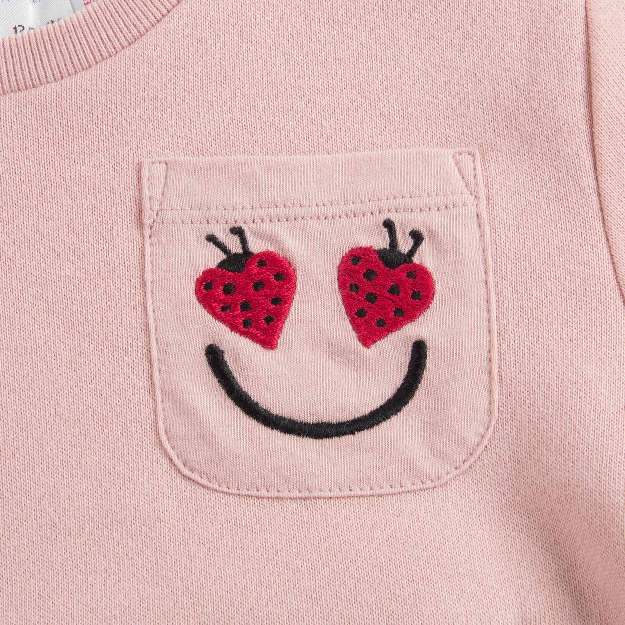 Baby Girls Dusky Rose Cotton Sweatshirt