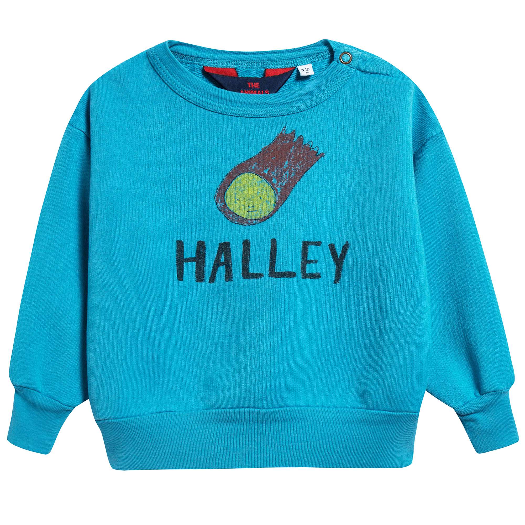 Baby Blue Halley Cotton Sweatshirt