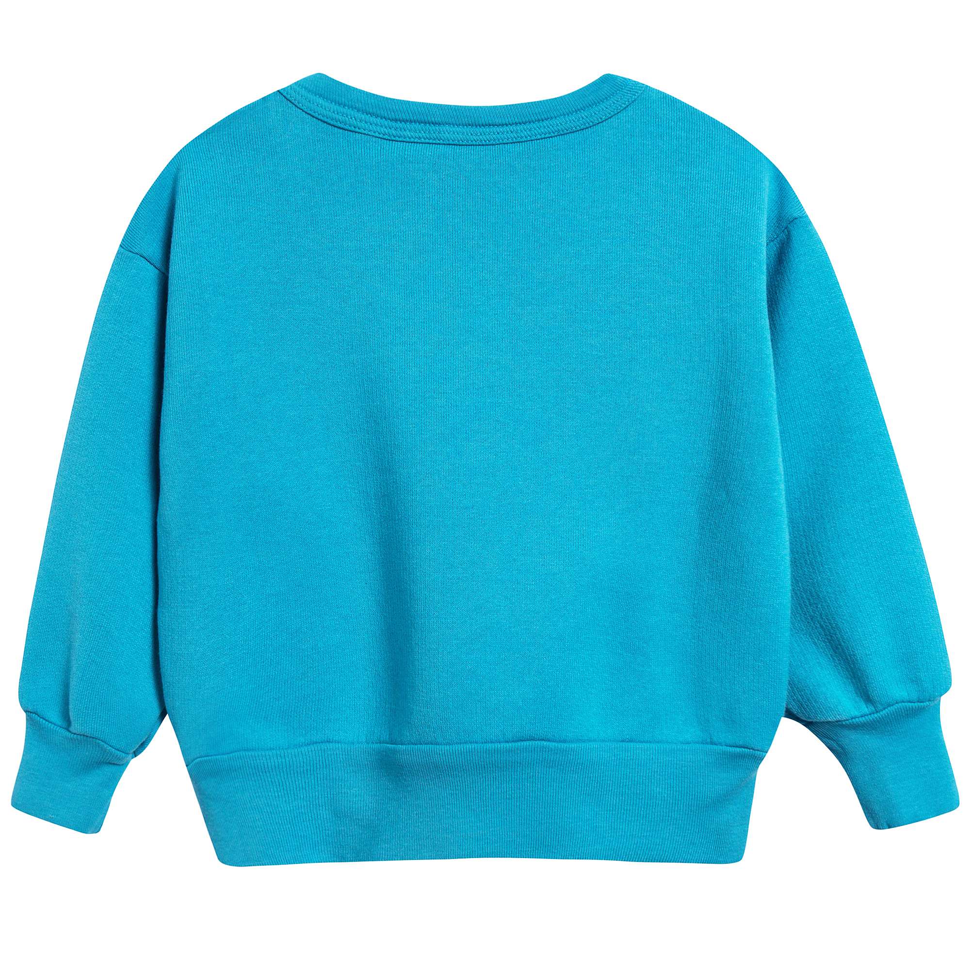 Baby Blue Halley Cotton Sweatshirt