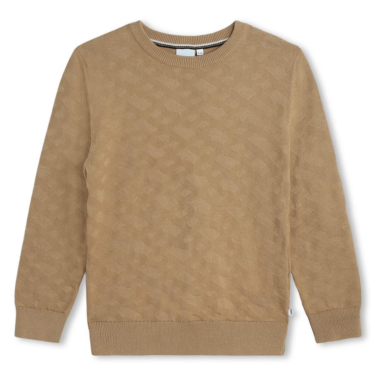 Boys Beige Knit Sweater