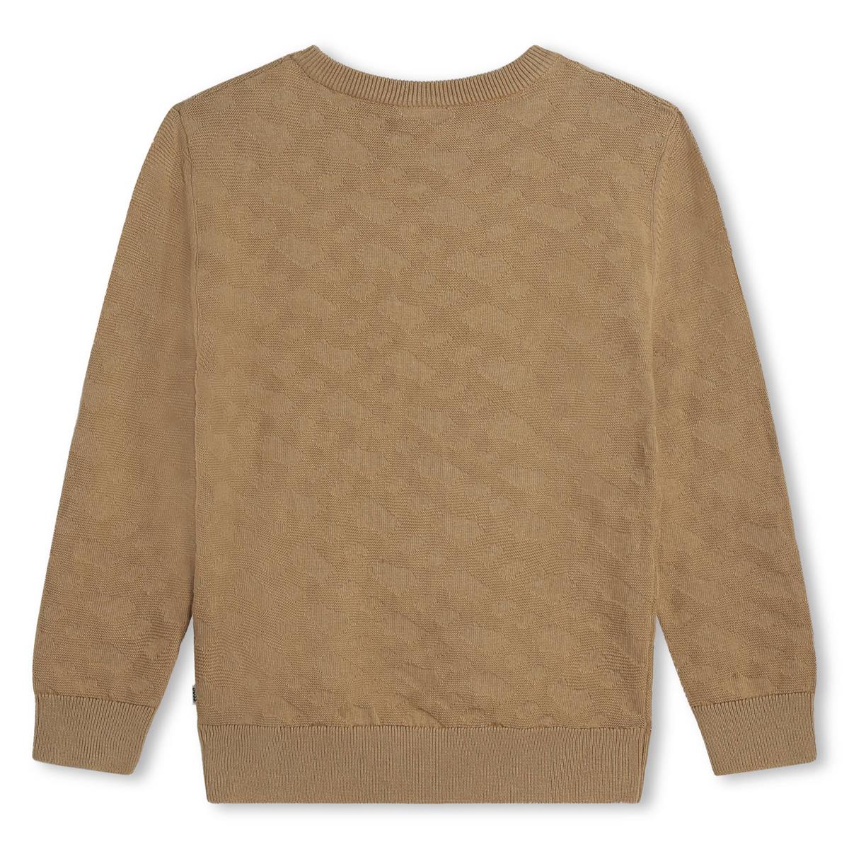 Boys Beige Knit Sweater