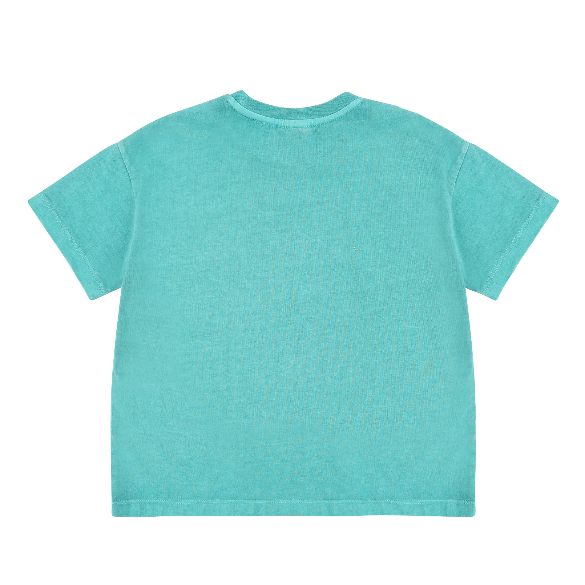 Boys & Girls Green Lion Cotton T-Shirt