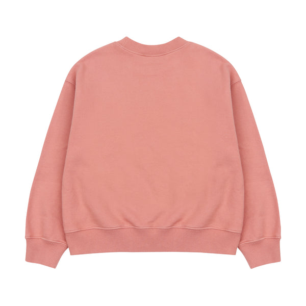Boys & Girls Pink Printed Sweatshirt