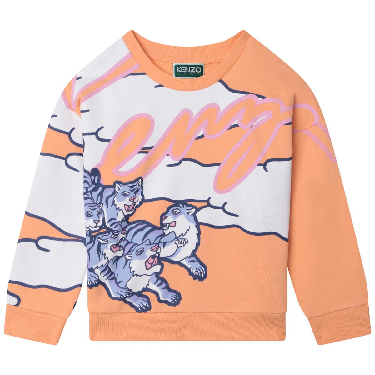 Boys & Girls Orange Sweatshirt