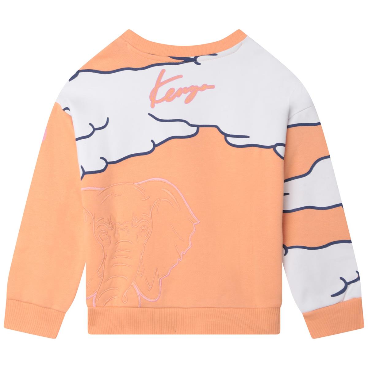 Boys & Girls Orange Sweatshirt