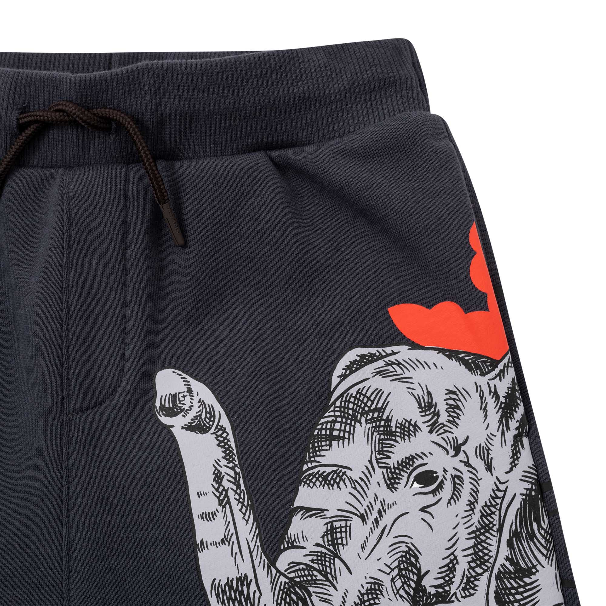 Boys Dark Grey Printed Cotton Trousers