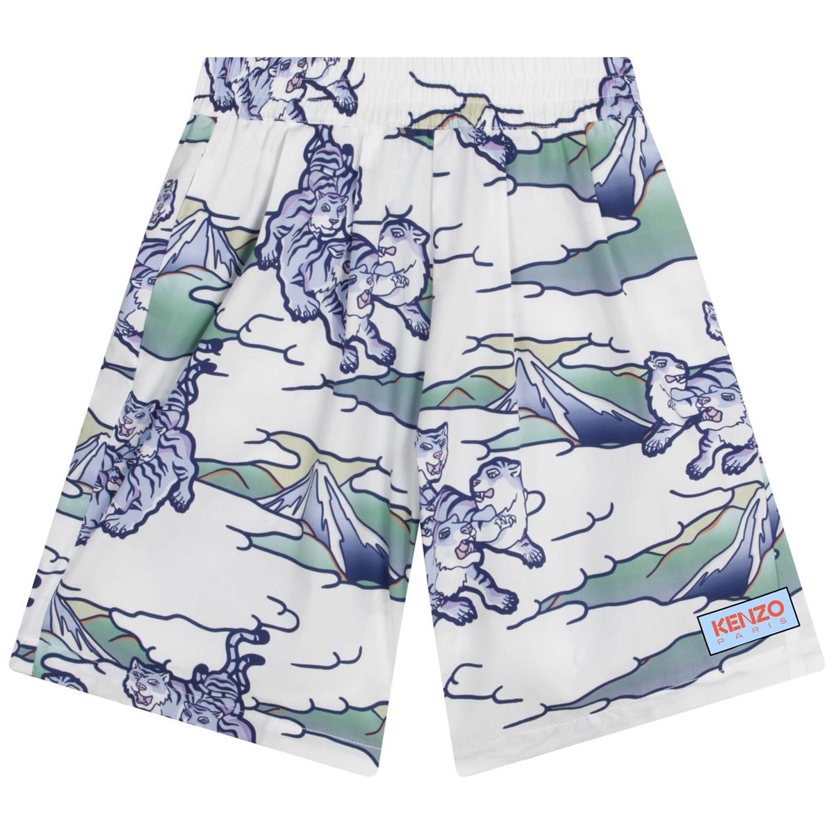 Boys Blue Printed Shorts