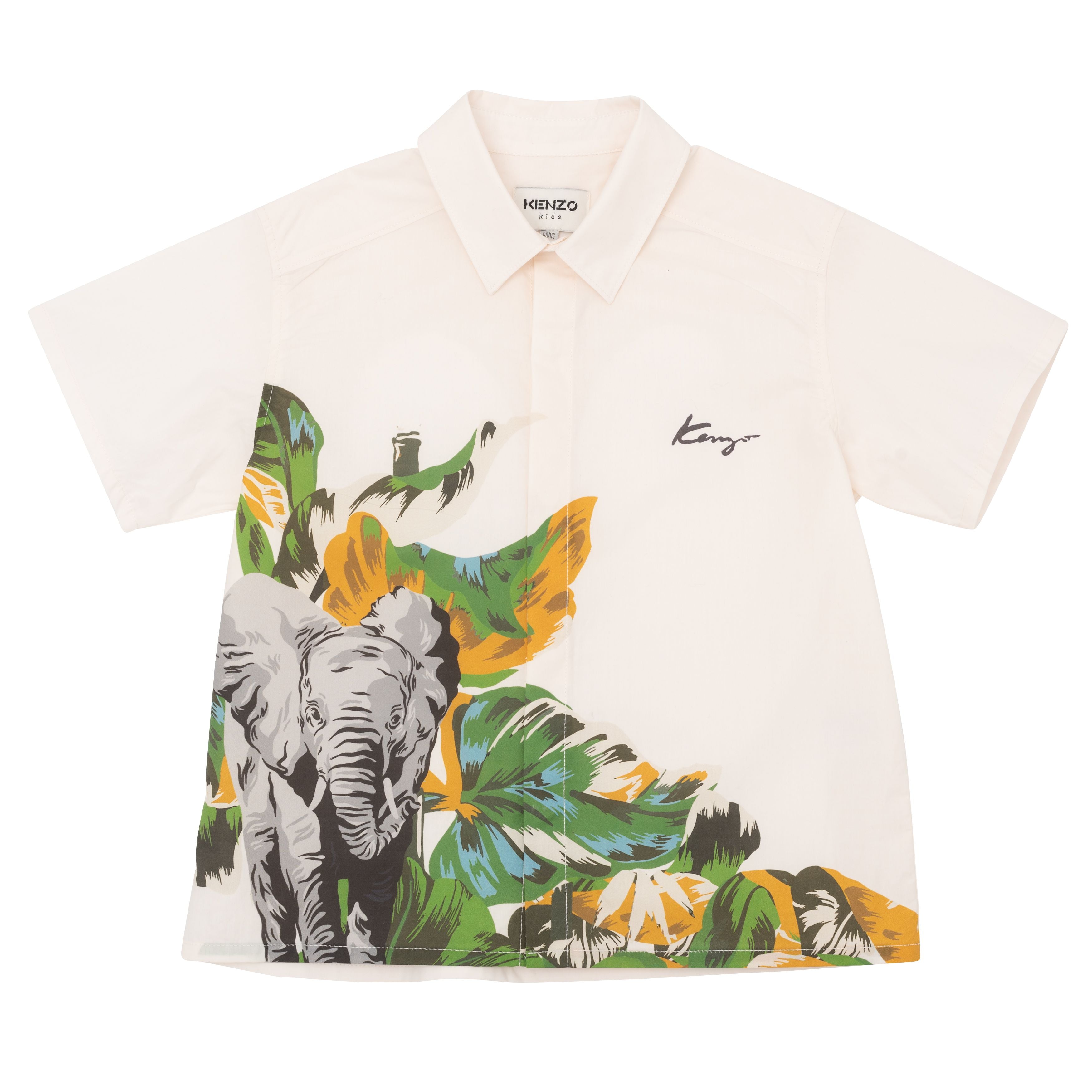 Boy White Cotton Shirts