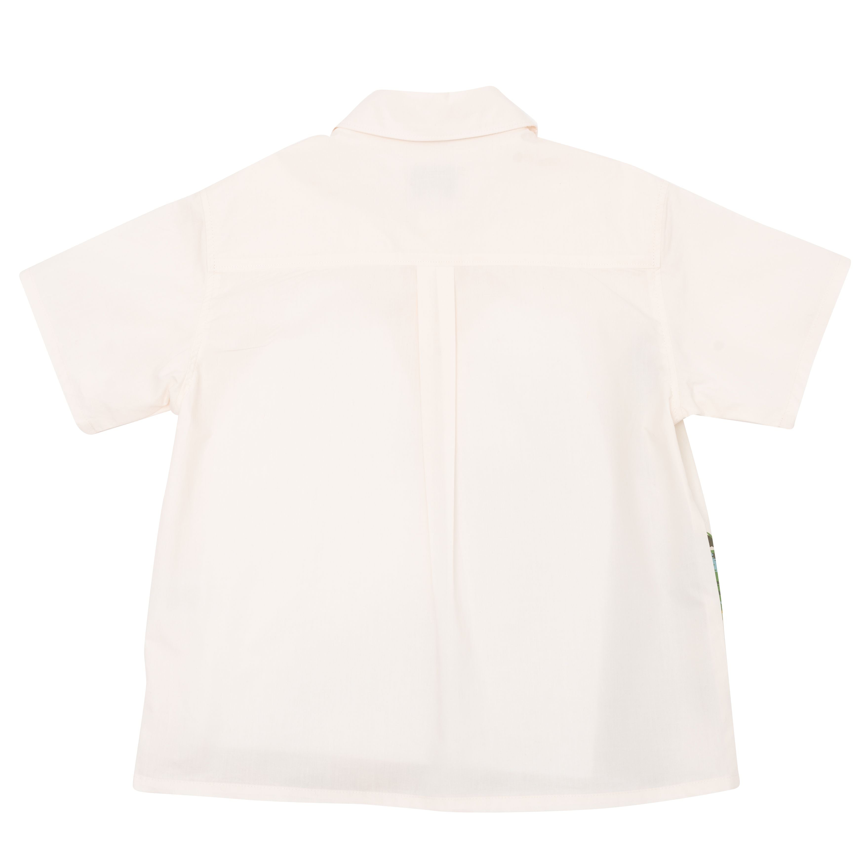 Boy White Cotton Shirts