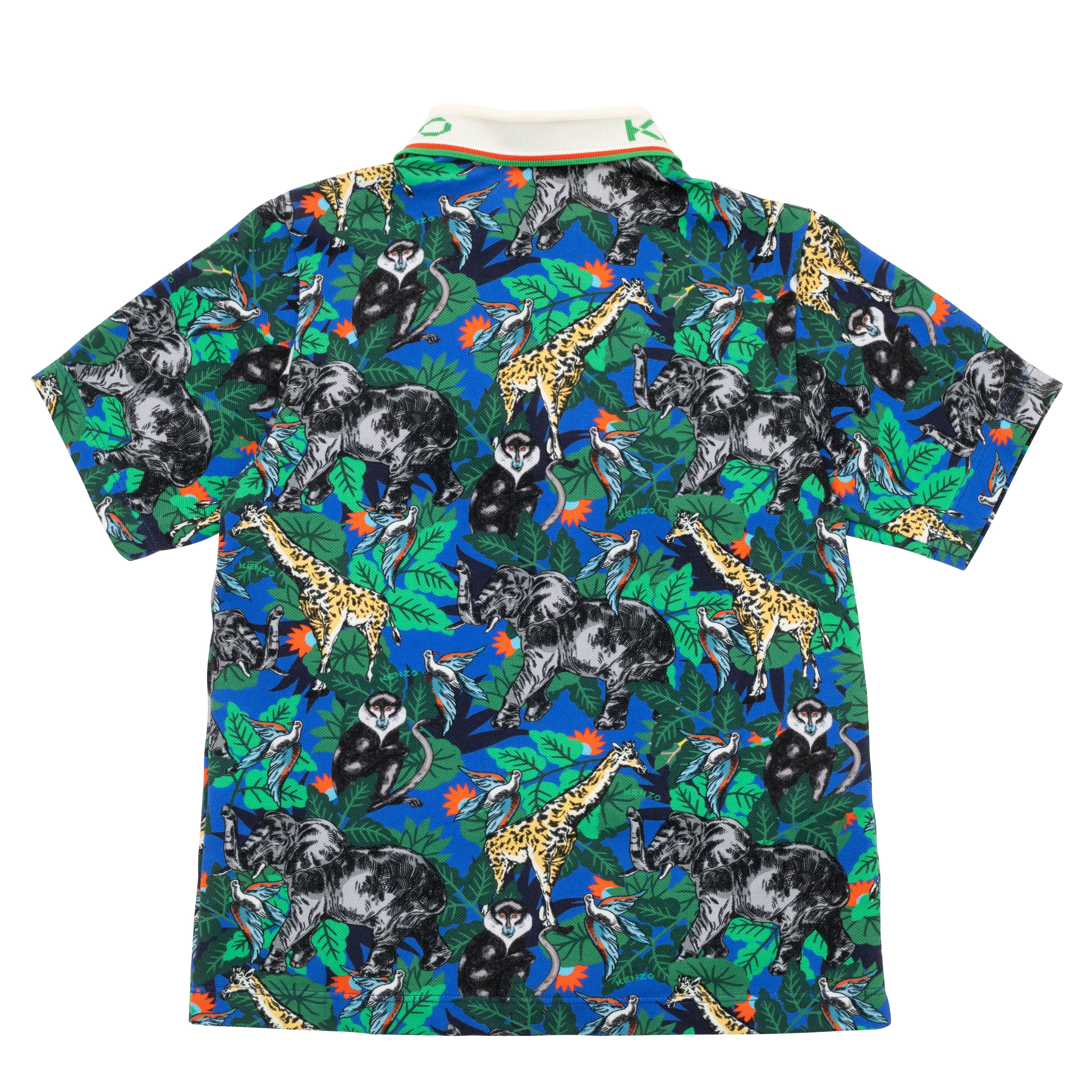 Boys Green Printed Cotton Polo Shirt