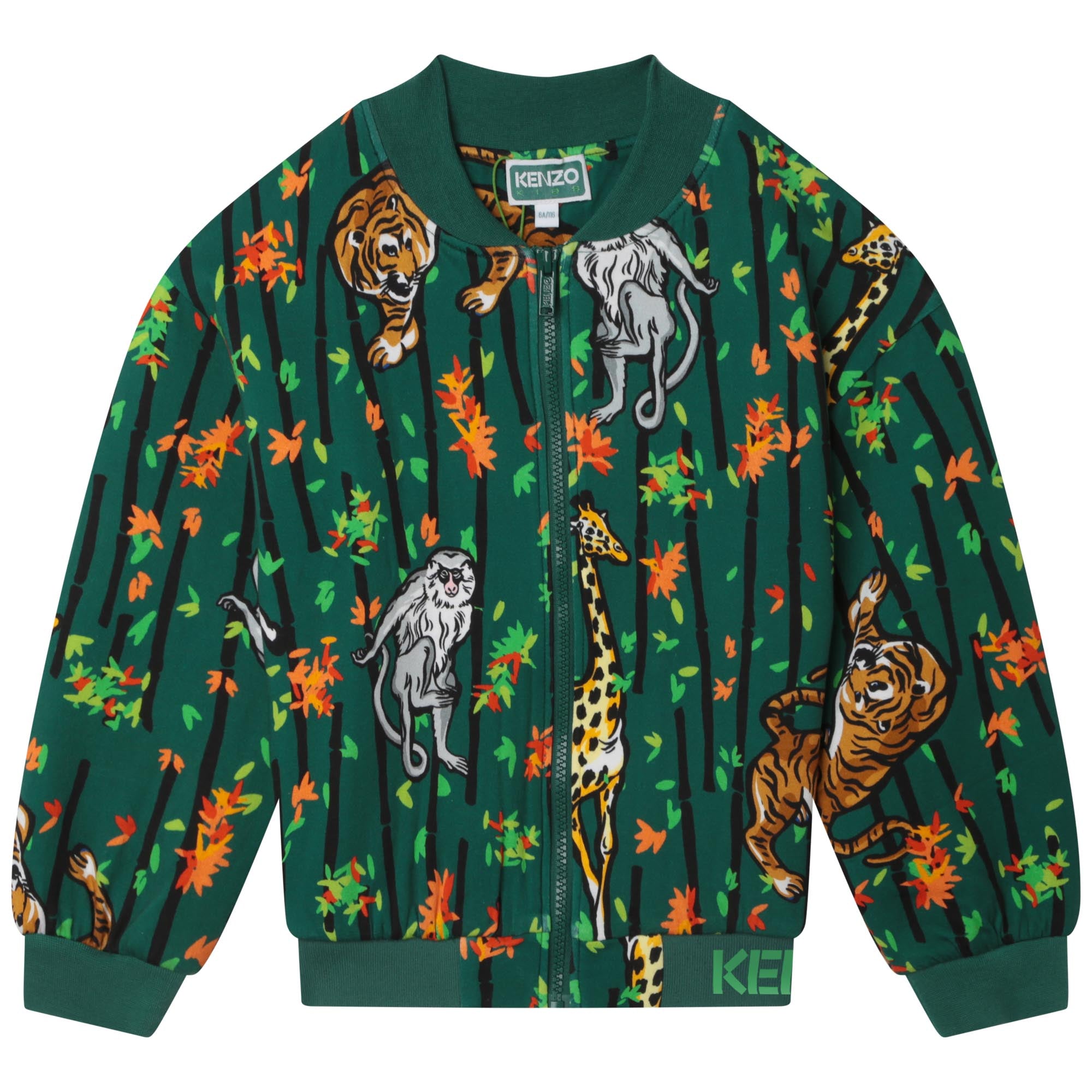 Boys Green Printed Jacket