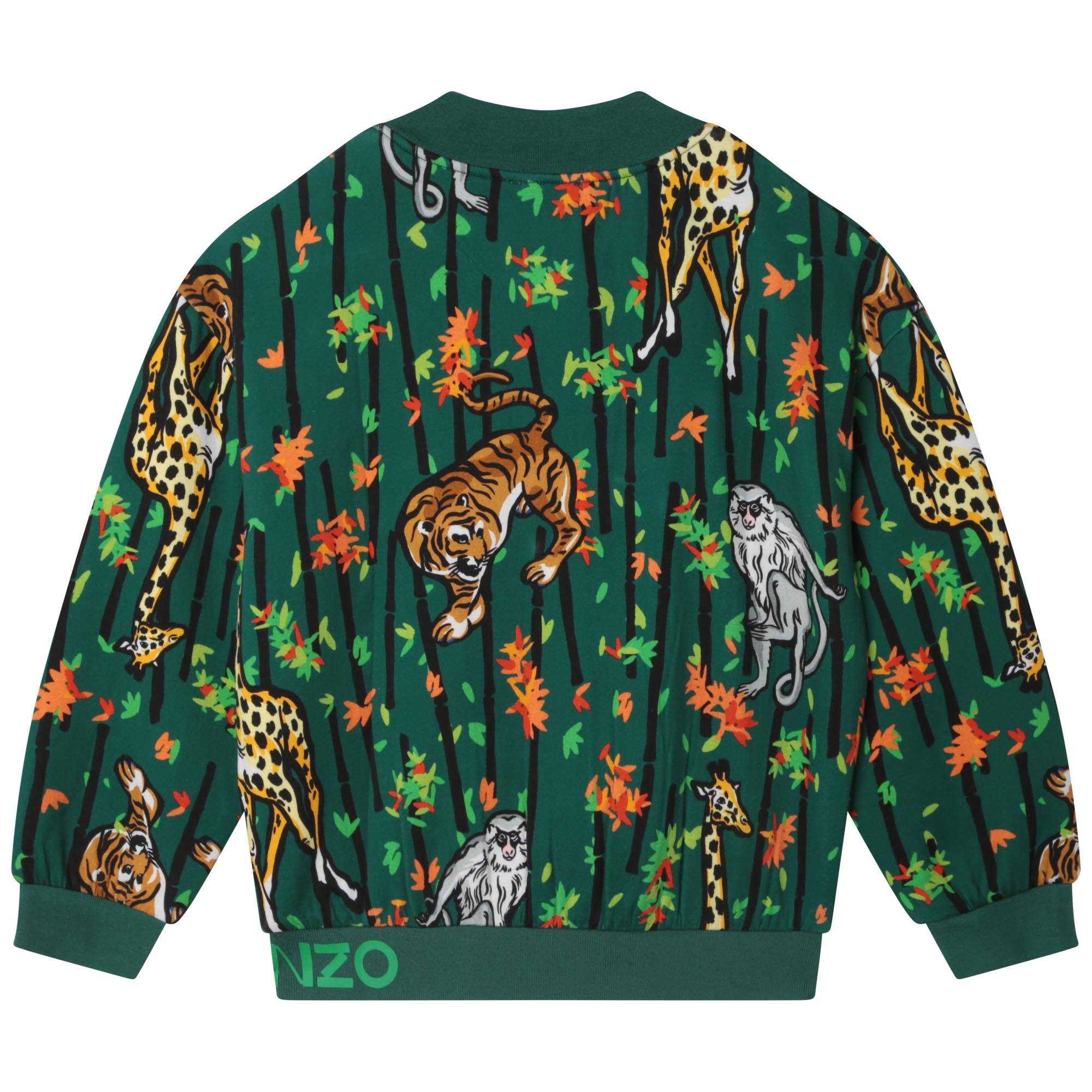 Boys Green Printed Jacket
