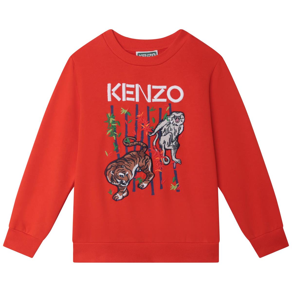 Boys Red Printed Sweatshirt