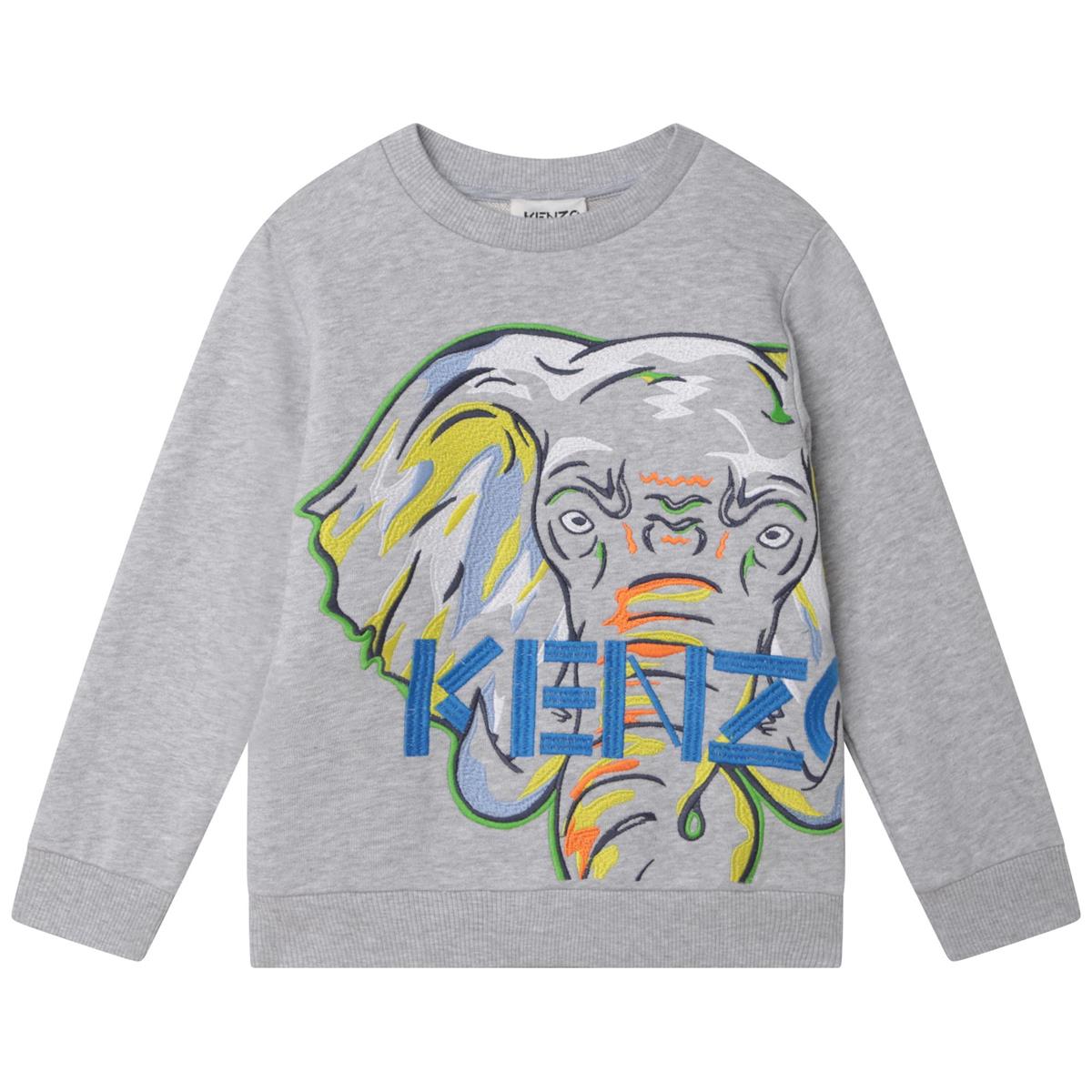 Boys Grey Printed Sweatshirt