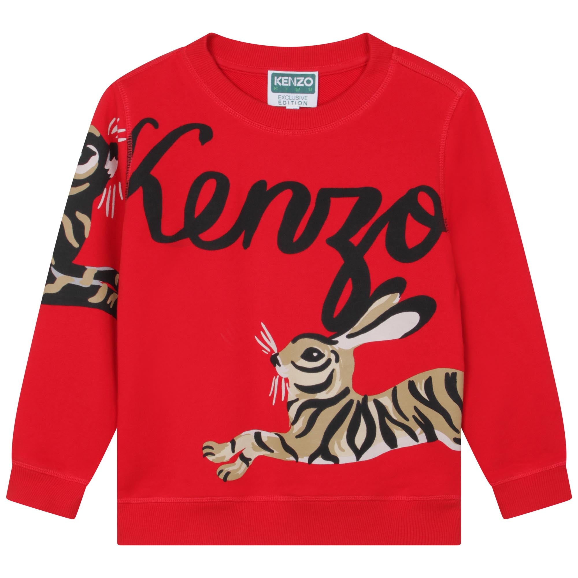 Boys Red Printed Cotton Sweatshirt