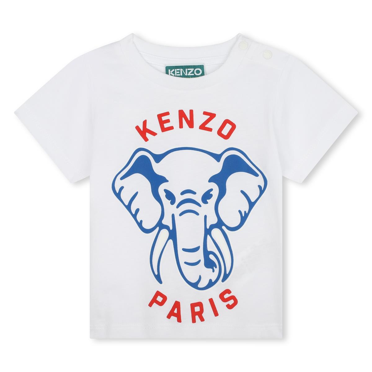 Baby Boys White Cotton T-Shirt