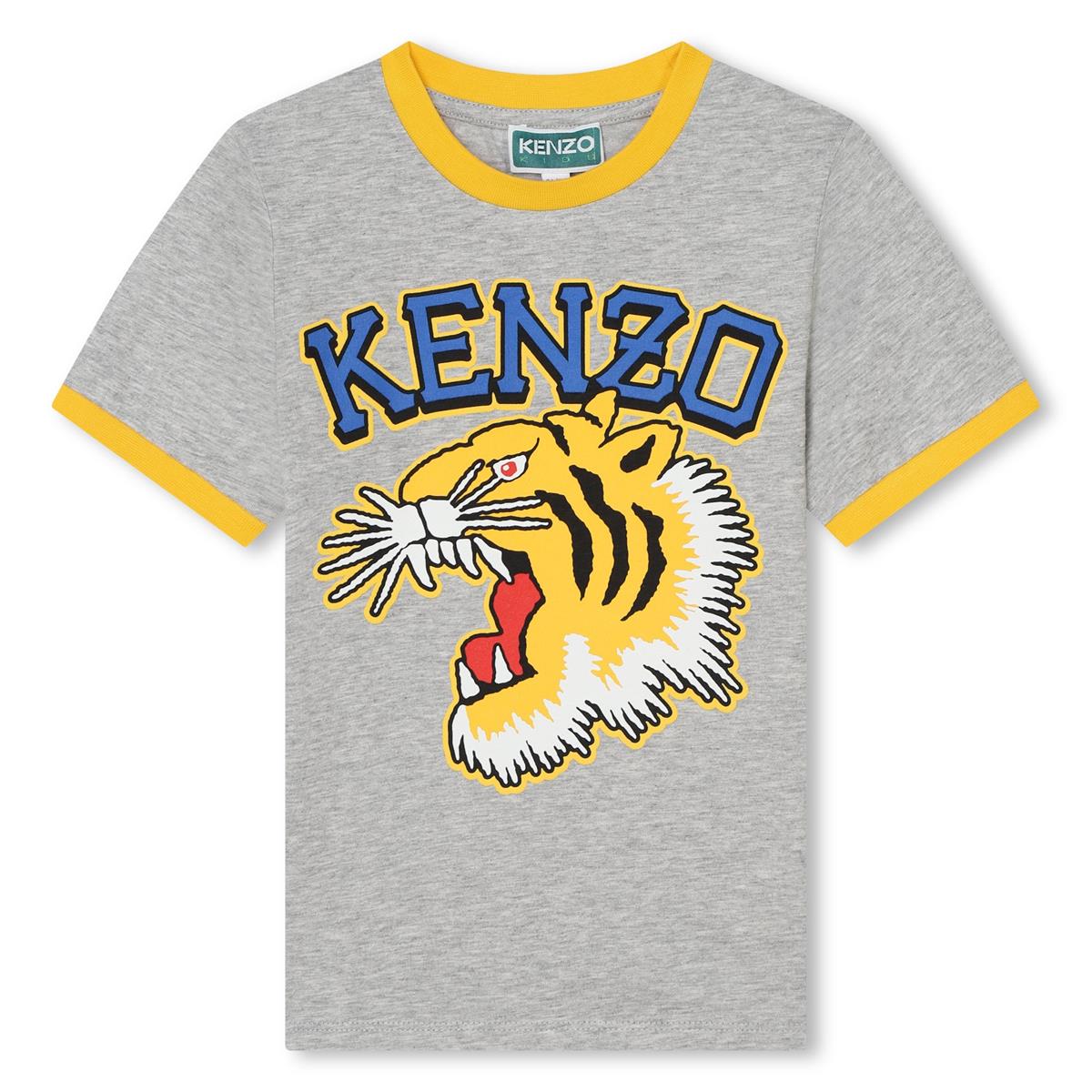 Boys Grey Cotton T-Shirt
