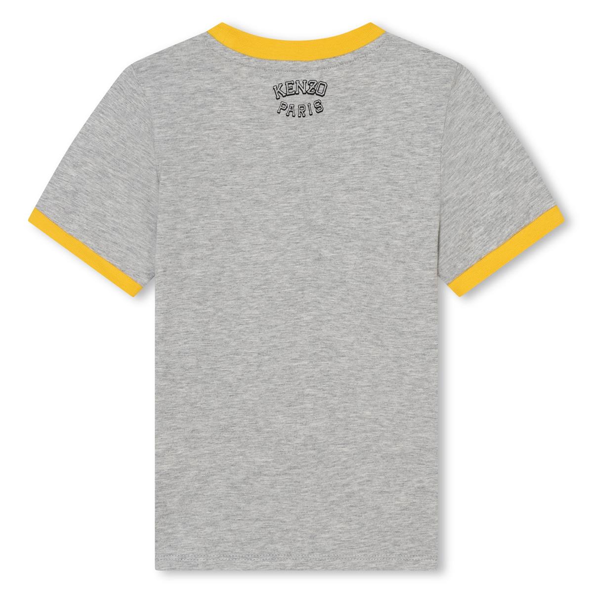 Boys Grey Cotton T-Shirt