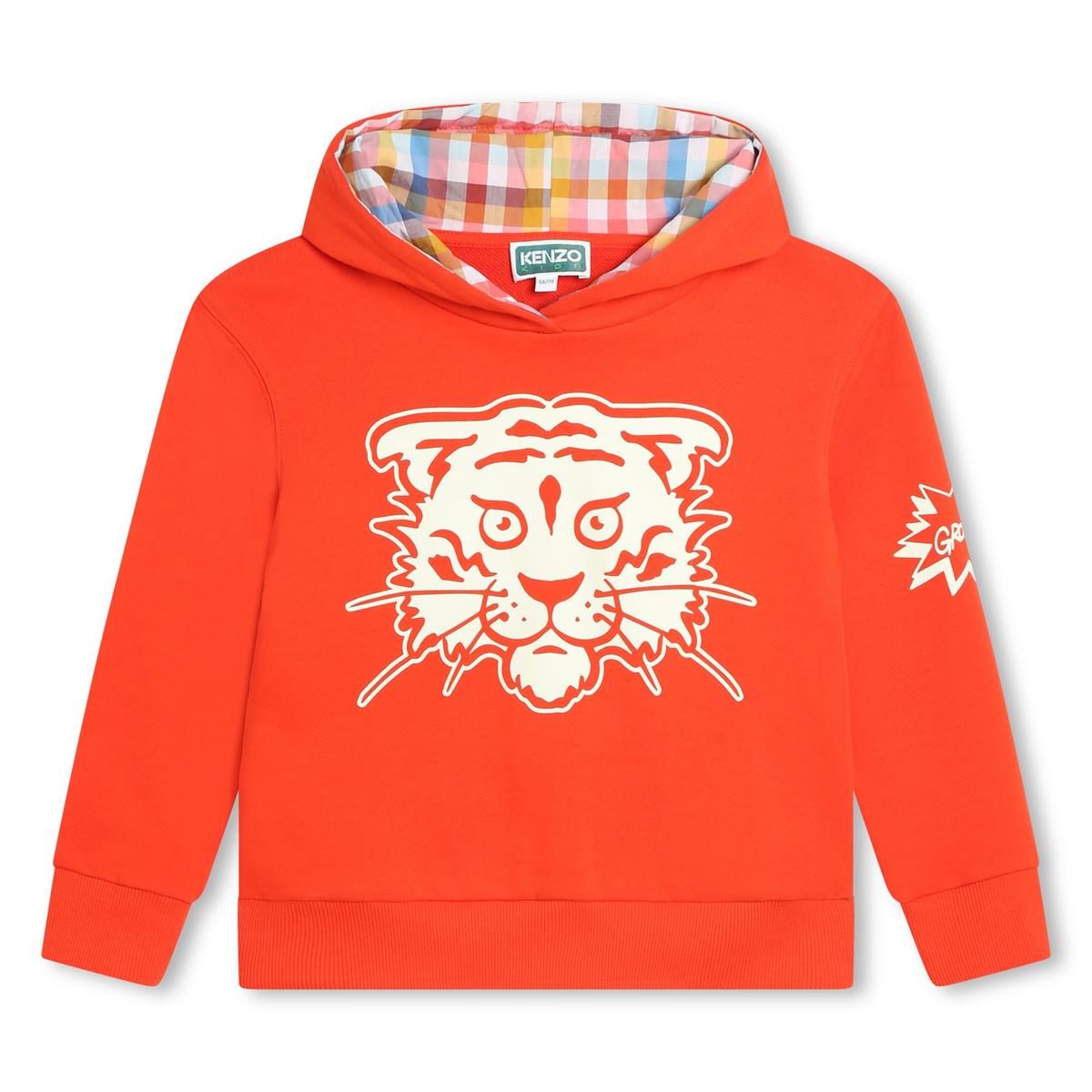 Boys Red Hooded Cotton Sweatshirt