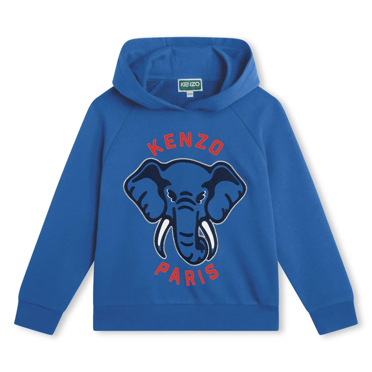 Boys Blue Hooded Cotton Sweatshirt