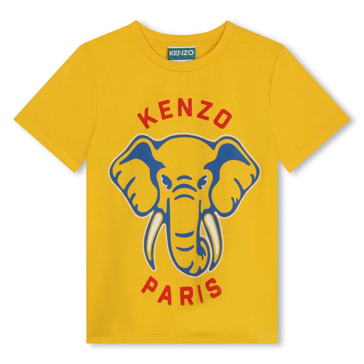 Boys Yellow Cotton T-Shirt