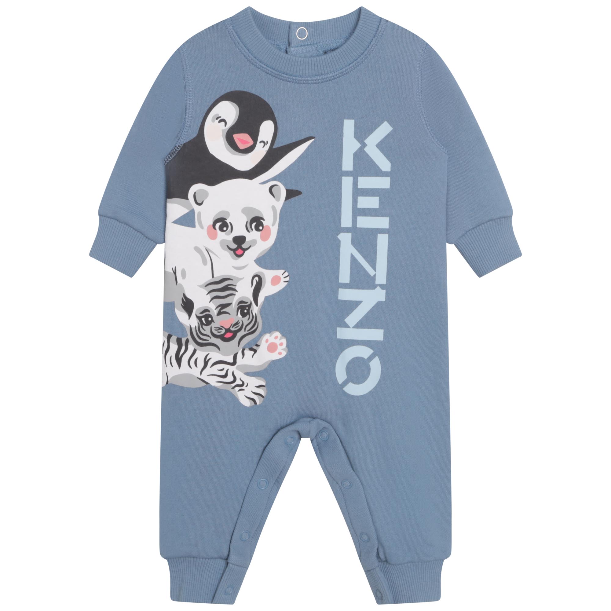 Baby Boys Blue Printed Cotton Babysuit