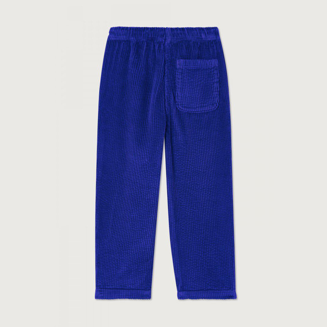 Boys & Girls Blue Corduroy Trousers