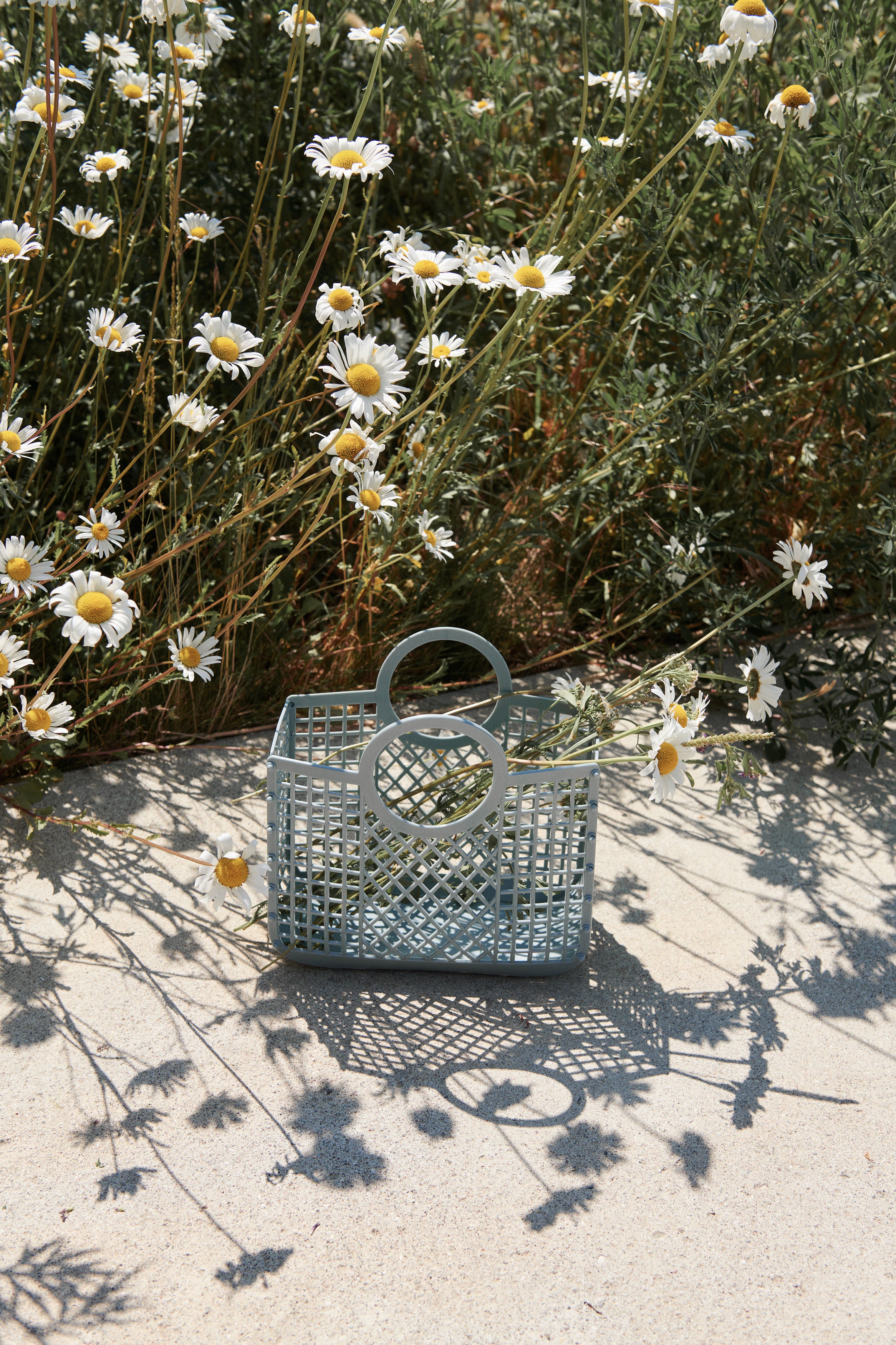 Blue Basket