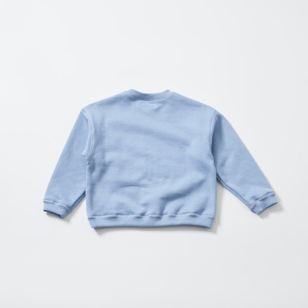 Boys & Girls Light Blue Cotton Sweatshirt