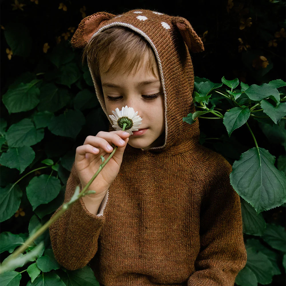 Boys & Girls Brown Alpaca Hooded Sweater
